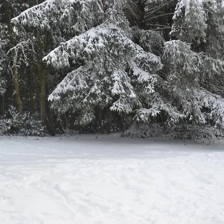 Les Grosses Pierres בקתה *