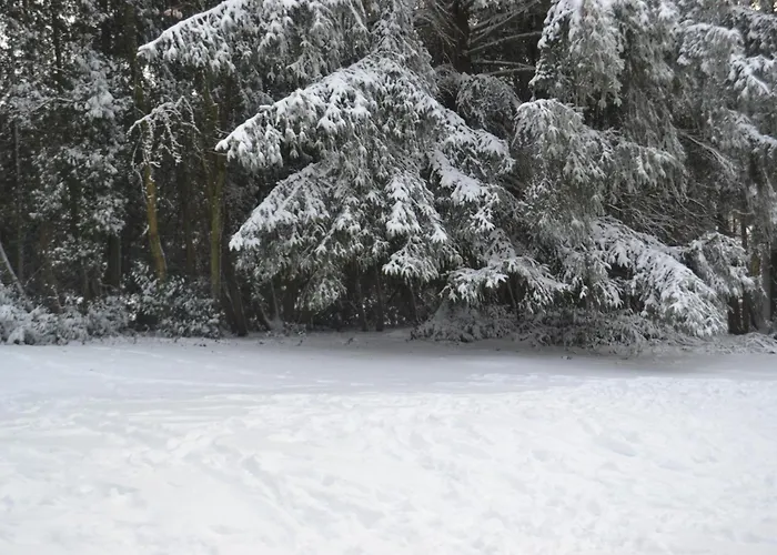 Les Grosses Pierres בקתה *